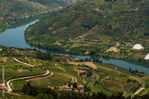 Scenic overview of the vineyards in the beautiful Douro river valley from „Miradouro de São Silvestre do Cimo do Douro“ viewpoint, Vila Real district, Viseu district, Portugal
