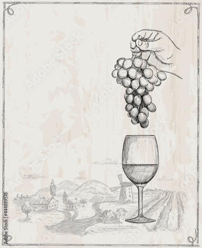 Wine poster with empty space for text and graphic illustration with man hand holding bunch of grapes
