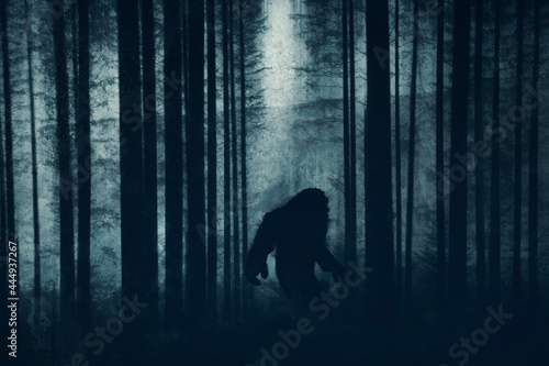 A dark scary concept. Of a mysterious bigfoot figure, walking through a forest. Silhouetted against trees in a forest. With a grunge, textured edit.