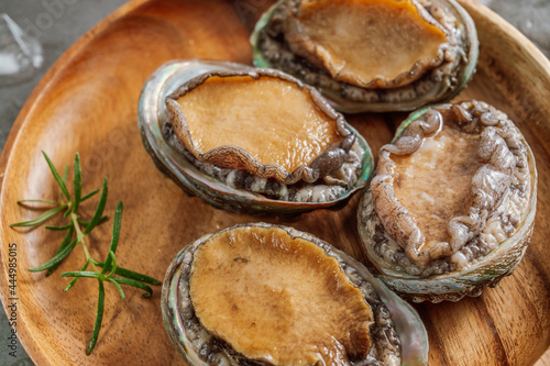 Fresh seafood abalone from the sea