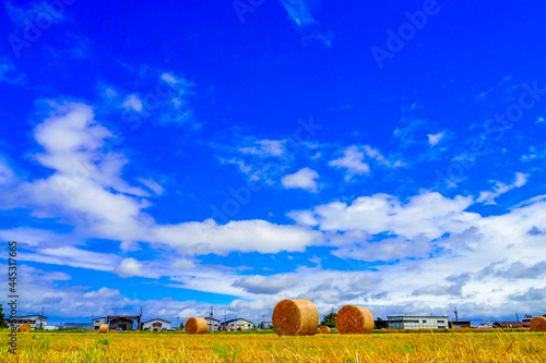 北海道の畑と麦稈ロールの風景 日本