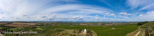 Panoramic shot from a bird's eye view of vineyards in Rheinhessen / Germany with a trullo in the foreground 