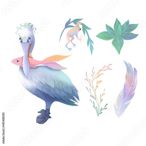 Set in gentle color. A pelican with a fish, a frog on a blade of grass, a colorful feather, beautiful leaves. Clipart illustrations isolated on a white background