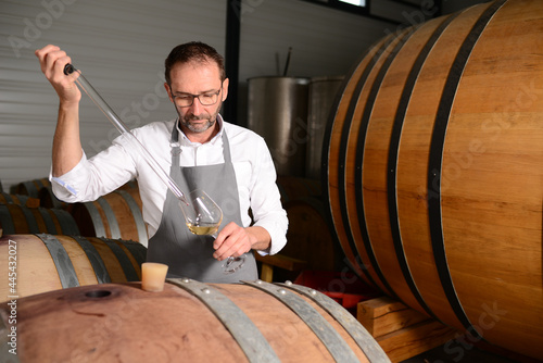 Portrait of a mature man oneologist tasting wine bottle in wine cellar with wooden barrel