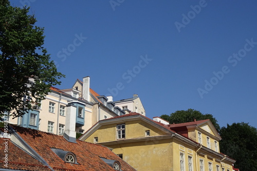 Red tiled roofs in old city of Tallinn - the capital of Estonia. An old street roofs. Arc windows in tiled roof. Blue clear sky. Summer, July.