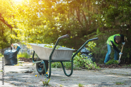 garden wheelbarrow with leaves or cleaning city park in spring at sunny day