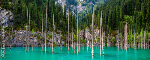 Lake Kaindy sunken forest in Kazakhstan. Beautiful mountain nature landscape. Blue lake Kolsai top view. Panoramic view of the nature reserve.