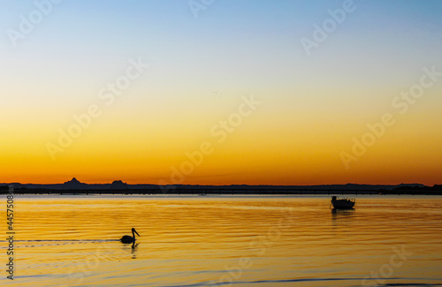 Pelican swims across liquid gold water with moat moored farther out under sky merging from orange to blue at sunset behind volcanic mountains in distance.