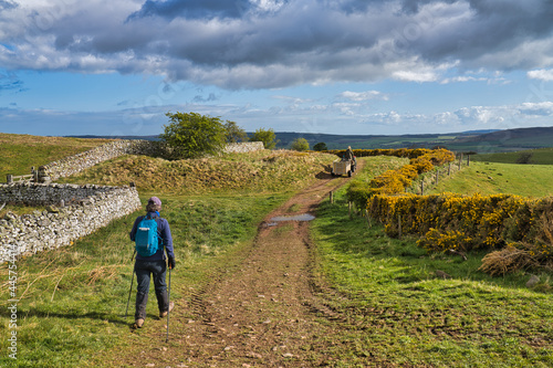 Across the Cheviot Hills