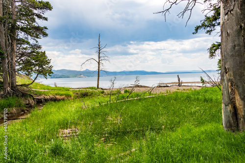 Yellowstone Lake from Storm Point Nature Trail