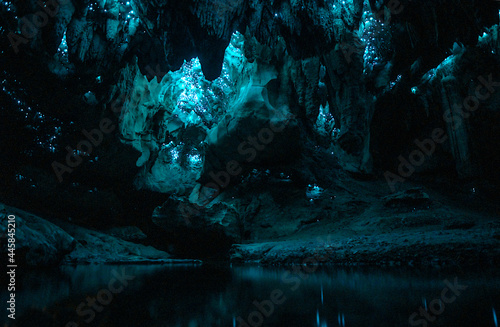 "Waipu Cave" Glowworm cave