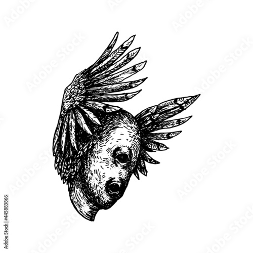 Etched vector illustration. Street art work. Hand drawn ink sketch of head of one eyed mutant with wings and feathers. Hell creature and absolute evil of fallen angels. Occult satanism.