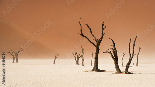 Dead camelthorn trees against towering sand dunes at Deadvlei in the Namib-Naukluft National Park, Namibia.