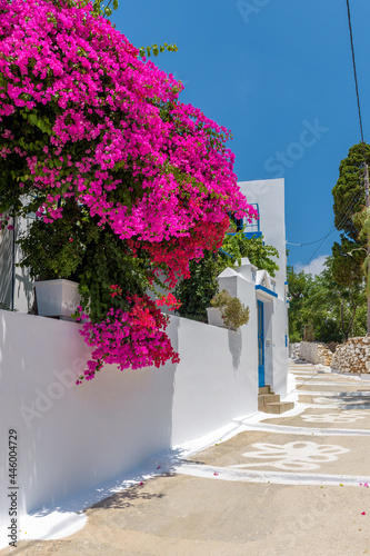 Traditional cycladitic alley with a narrow street, whitewashed houses and a blooming bougainvillea in Lagada, Amorgos Greece