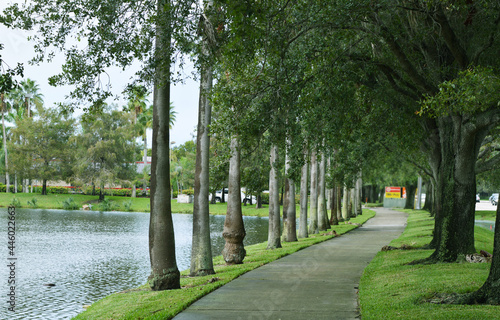 Tree Orchard in front of Sawgrass Mills Outlets Complex in Fort Lauderdale, South Florida, USA