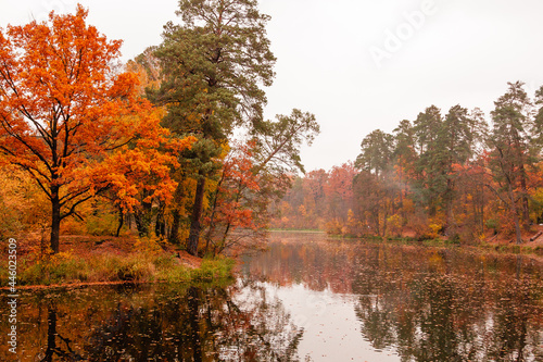 Beautiful lake in a forest with autumn trees