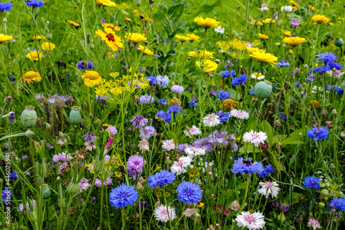 biological agricultue, Flevoland Province, The netherlands