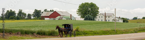 Amish Horse and Buggy