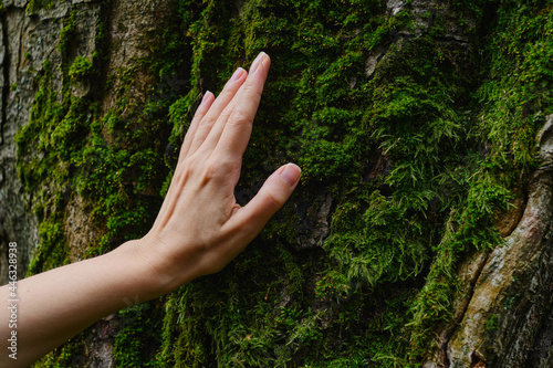 Girl hand touches a tree with moss in the wild forest. Forest ecology. Wild nature, wild life. Earth Day. Traveler girl in a beautiful green forest. Conservation, ecology, environment concept 