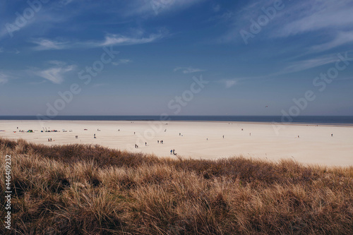 Beautiful sandy beach where people walk with dry and yellow grass, blue sea and sky on texel island in sunny weather