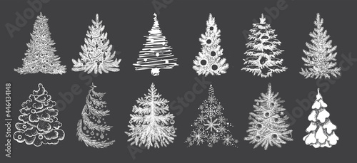 Christmas tree set. Hand drawn illustration. Vector. 