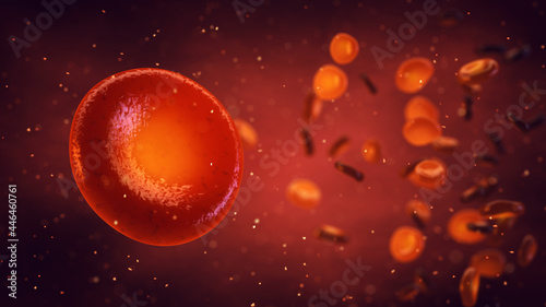 Red blood cells or Erythrocytes carry oxygen to all body tissues. Red blood cells background.