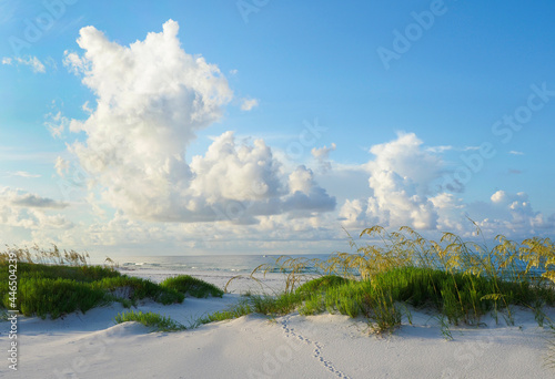 Early Morning on a Beautiful Pristine Florida White Sand Beach of the Gulf Coast