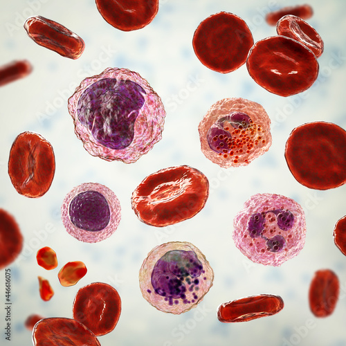 Smear of peripheral blood, 3D illustration