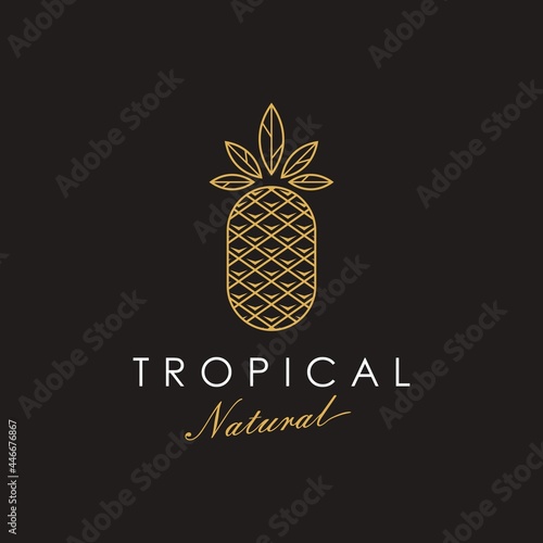 Pineapple logo icon vector. Abstract golden geometric design in trendy minimal luxury style design Illustration