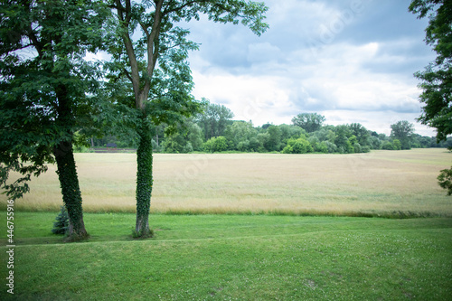 View on green valley of Wieprz river in Kijany village near Lublin.