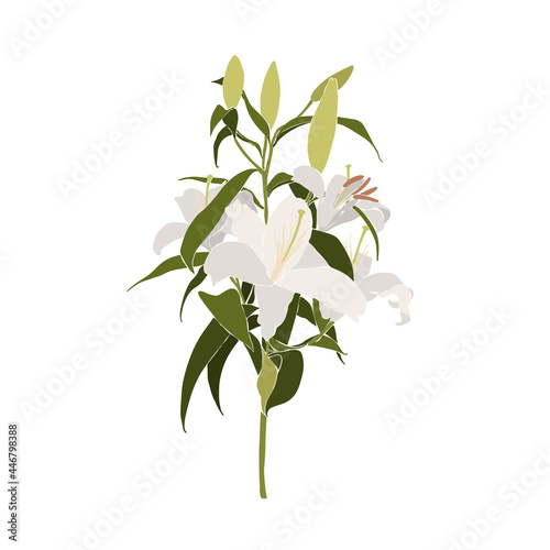 Trendy white lillies. Instagram bouquet of trendy lilly flowers. Set of Abstract feminine vector illustrations. Summer trendy simple icons. Instagram post, business advertisement, flyer design.