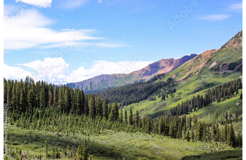 Trekking through Lush Colorado Mountains