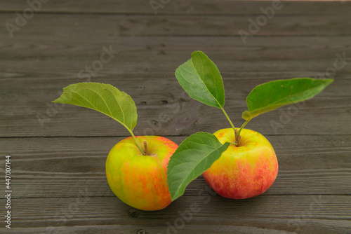 Jabłko umieszczone na drewnianym, czarnym tle.