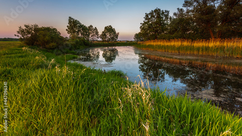 Sunset over Warta river in Warta Landscape Park, Poland.