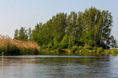 Summer day over Warta river in Warta Landscape Park, Poland.