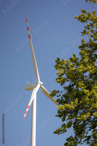 Elektrownia wiatrowa turbina obok wysokiego drzewa