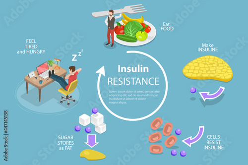 3D Isometric Flat Vector Conceptual Illustration of Insulin Resistance Syndrome, Poor Liver Response to Insulin