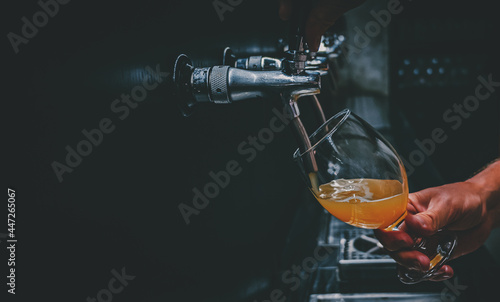 bartender hand at beer tap pouring a draught beer in glass serving in a restaurant, bar or pub