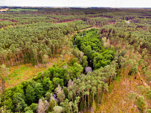 Brda river and Tuchola forest in Poland. Aerial view