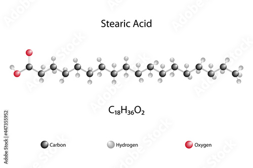 Molecular formula of stearic acid. Chemical structure of stearic acid. 