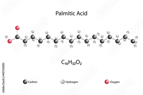 Molecular formula of palmitic acid. Chemical structure of palmitic acid. 