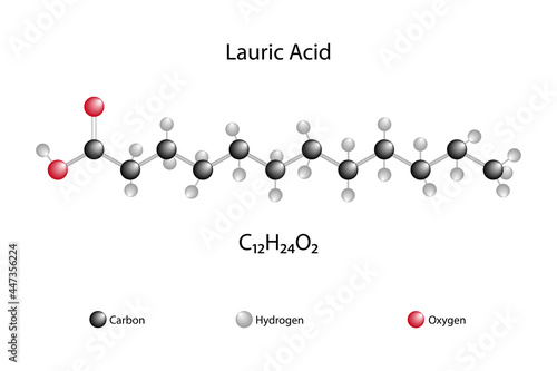 Molecular formula of lauric acid. Chemical structure of lauric acid. 