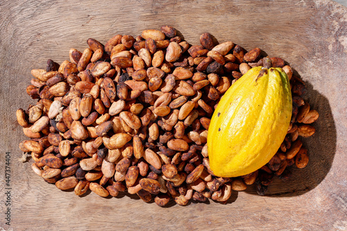 cocoa beans and fruits - Theobroma cacao L. image, close-up image