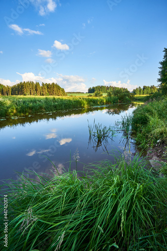 River in summer in countryside