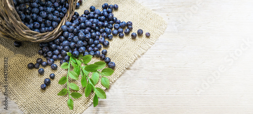 Top view from fresh Vaccinium myrtillus, European blueberry and green leaves in a wooden bowl on jute fabric and wooden table