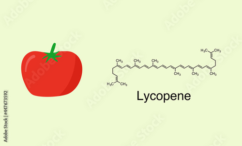 Vector illustration of tomato and lycopene molecule.