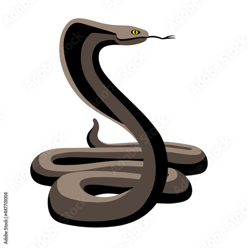 venomous snake, Indian king cobra in a stand, dangerous reptile, color vector illustration isolated on a white background in a cartoon style and flat design
