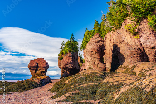 Canada-New Brunswick-Hopewell Rocks