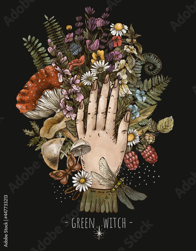 Herbology bouquet with a woman hand, Green witch illustration, herbs, mushroom, amanita, flowers.