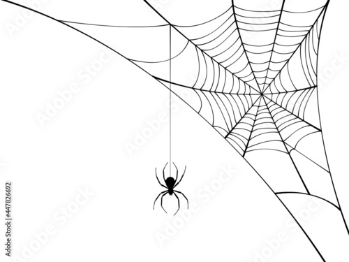 Corner spider web with black spider.